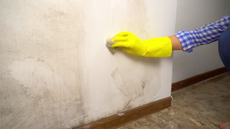 Best Biohazard Mold Removal  in Augusta, ME